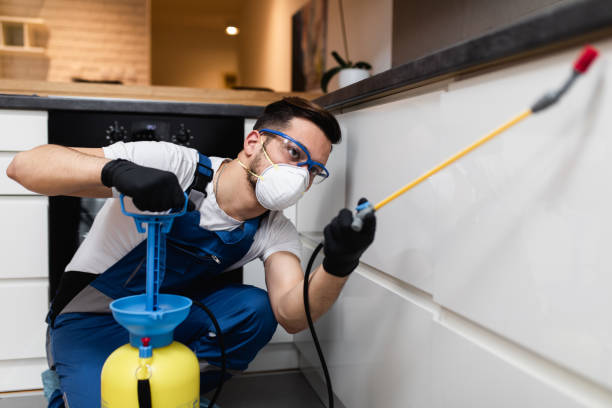 Best Affordable Pest Control Services  in Riviera Beach, FL