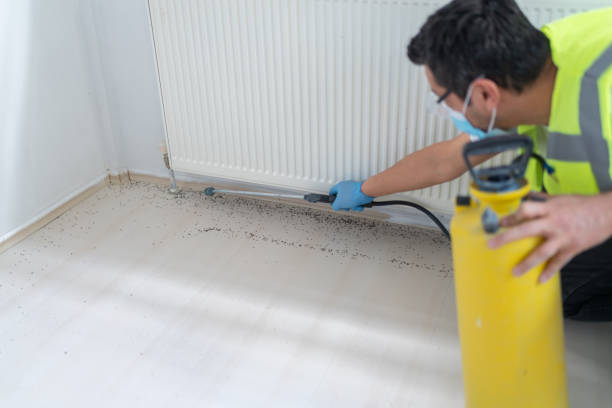 Best Ant Control Services  in Riviera Beach, FL