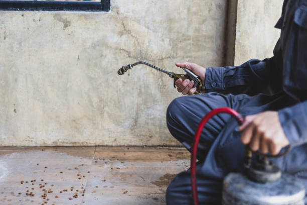 Best Affordable Pest Control Services  in Riviera Beach, FL